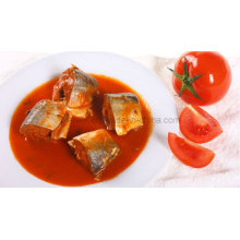 Conservas de caballa en salsa de tomate